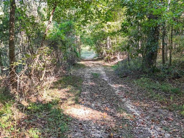 Land for sale in Centreville, Bibb County