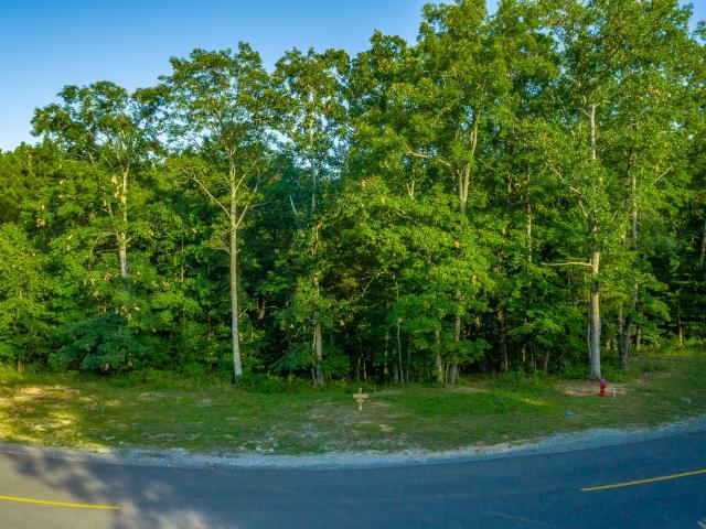 Land for sale in Tennessee