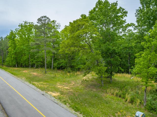 Land for sale in Tennessee