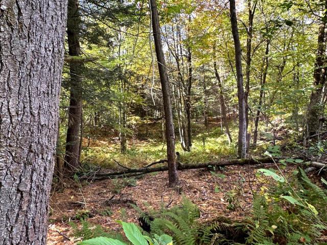 Land for sale in Town of Stephentown, Rensselaer County