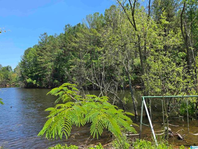 Land for sale in Springville, Alabama
