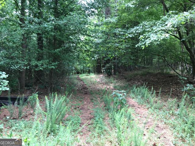 Land for sale in Gordon, Georgia