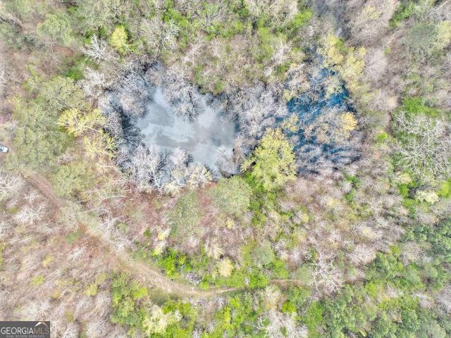 Land for sale in Lindale, Georgia