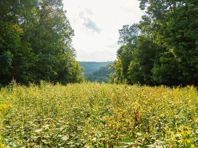 Land for sale in Wisconsin