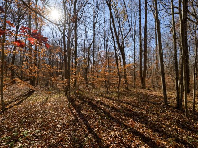 Land for sale in Racine, Ohio