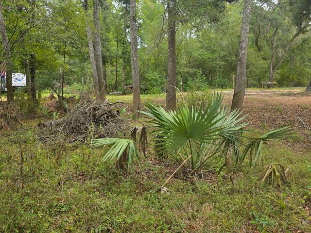 Land for sale in Baxley, Georgia