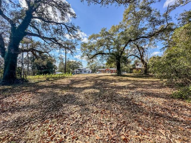 Land for sale in Geneva, Alabama