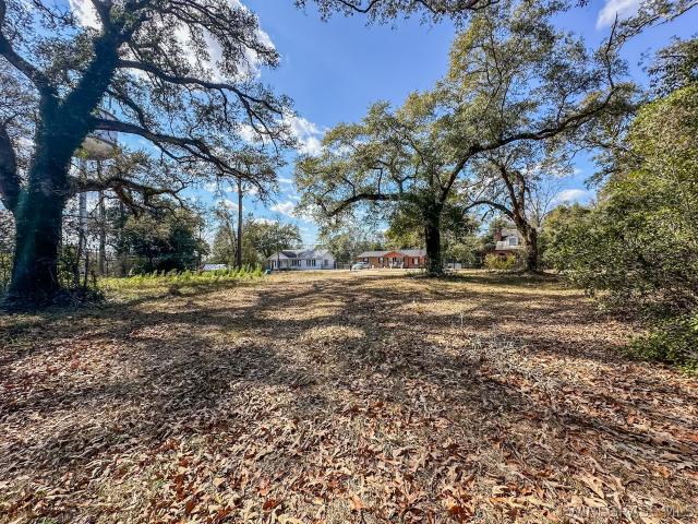Land for sale in Geneva, Alabama
