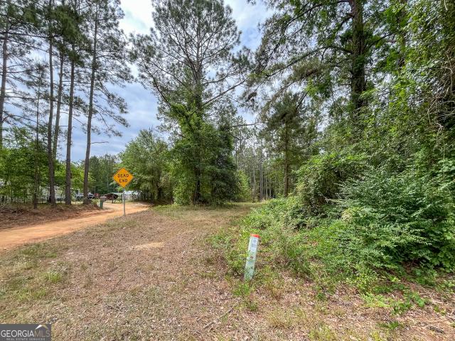 Land for sale in Evans, Georgia