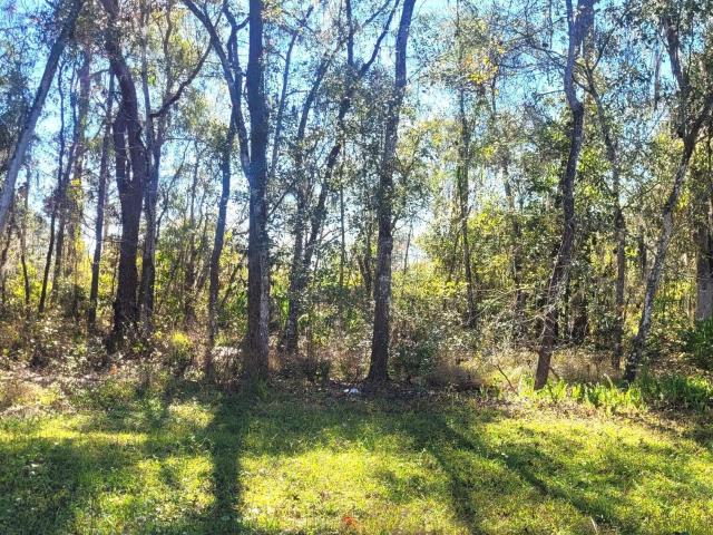 Land for sale in Saint Johns, Florida