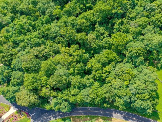 Land for sale in Landrum, South Carolina