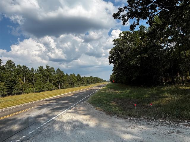 Land for sale in Lovelady, Texas