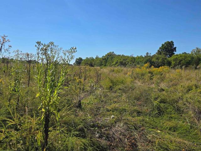 Land for sale in Buncombe, Illinois