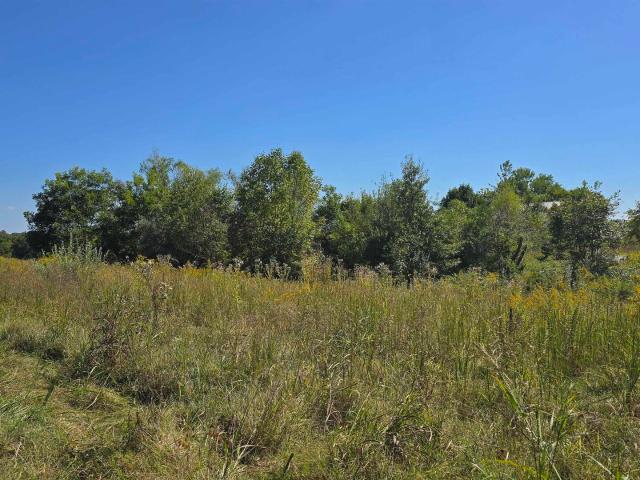 Property for sale in Buncombe, Illinois