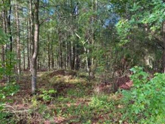 Land for sale in Enoree, South Carolina