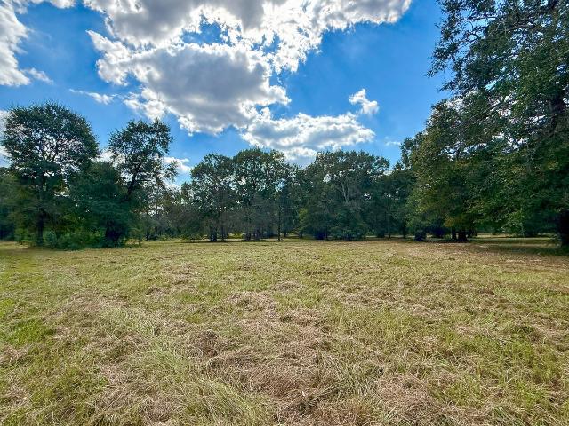 Land for sale in New Waverly, Texas