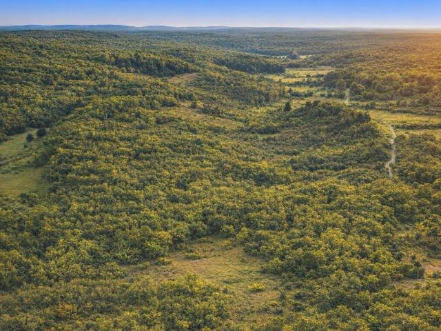 Land for sale in Tennessee