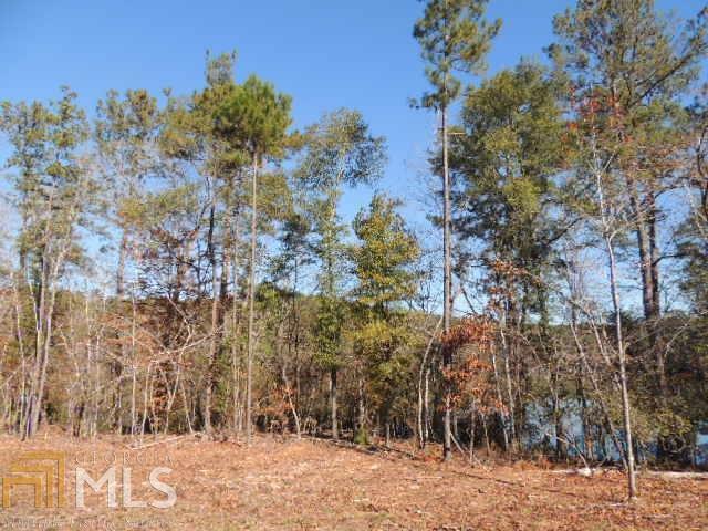 Land for sale in Hamilton, Georgia