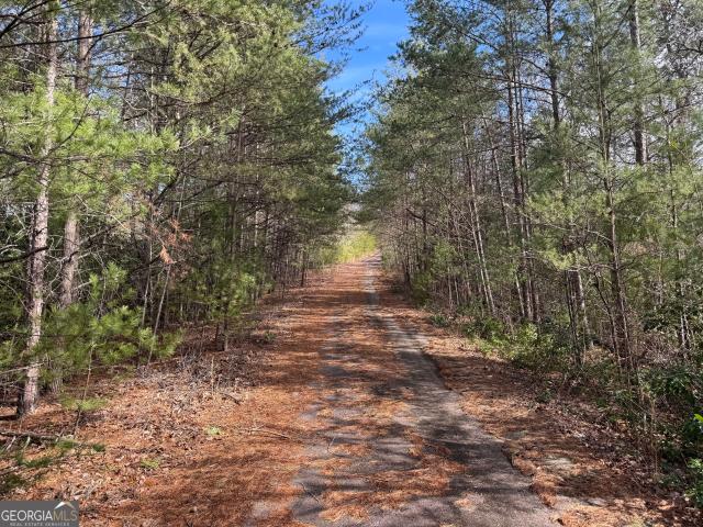 Land for sale in Helen, Georgia