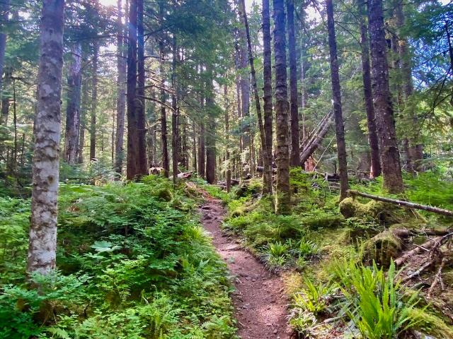 Land for sale in Granite Falls