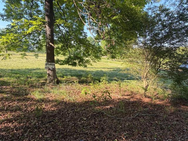 Land for sale in Morganton, Georgia