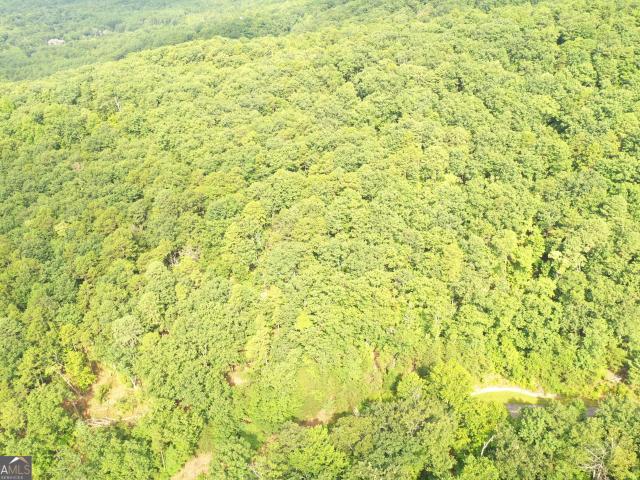 Land for sale in Clarkesville, Georgia