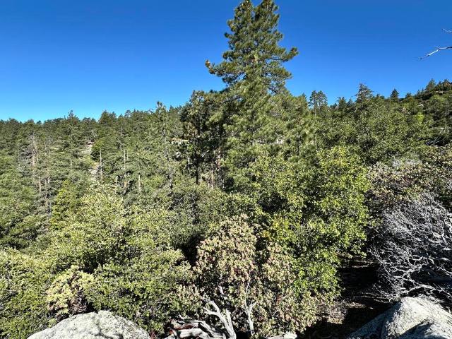 Land for sale in Idyllwild