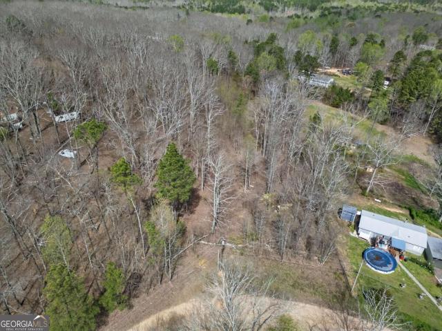 Land for sale in Bremen, Haralson County