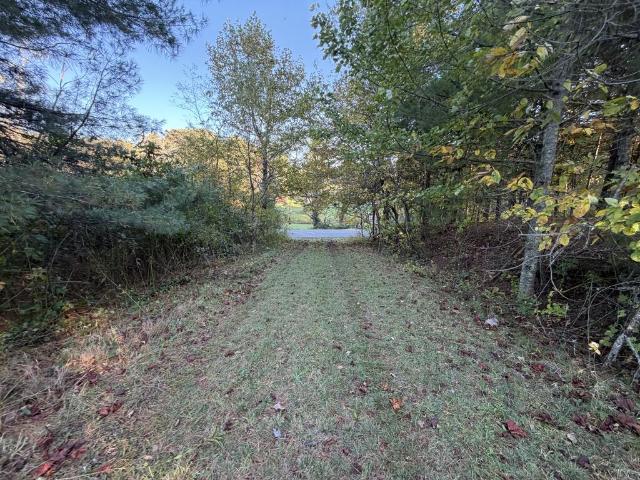 Land for sale in Meadows of Dan, Patrick County
