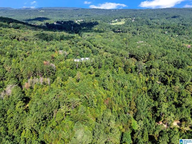 Land for sale in Springville, Alabama
