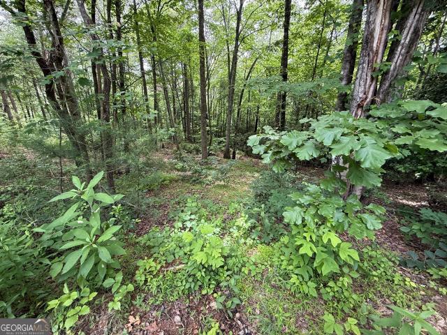 Land for sale in Hiawassee, Georgia