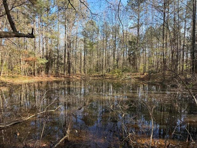 Land for sale in Morton, Mississippi
