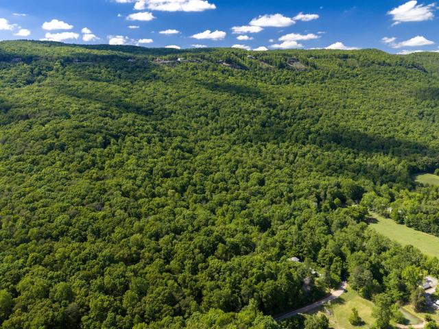 Land for sale in Tennessee