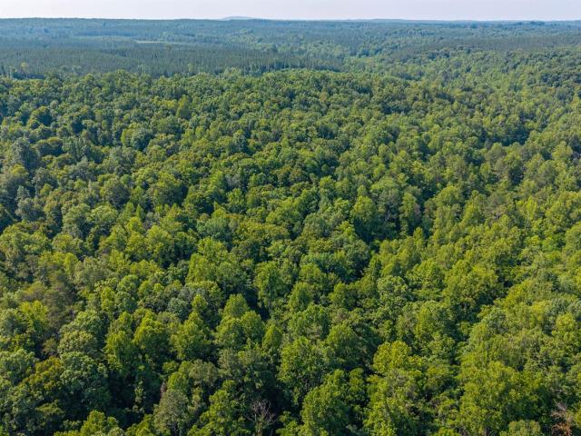 Land for sale in Virginia