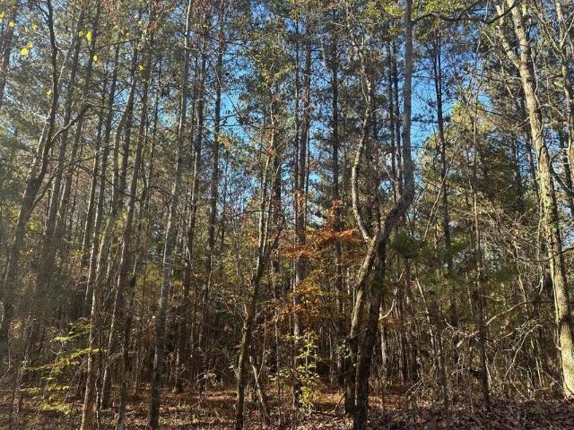 Land for sale in Tennessee
