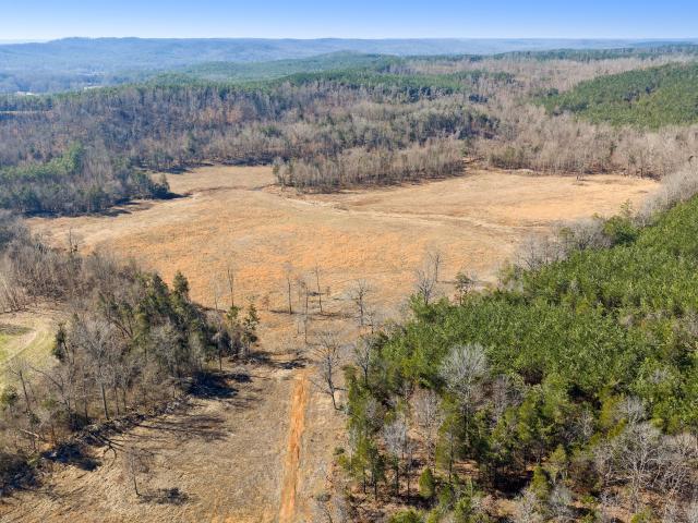 Farm for sale in Decaturville, West Tennessee
