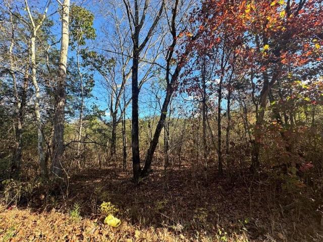 Land for sale in Tennessee
