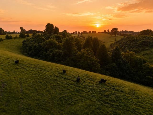 Farm for sale in Mount Herman, Lynchburg