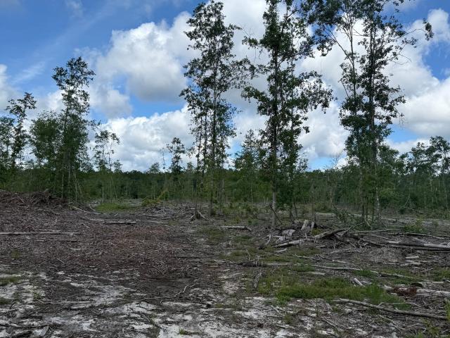 Land for sale in Guyton, Georgia