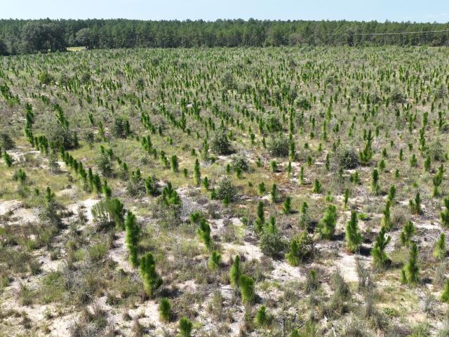 Land for sale in Wrens, Georgia