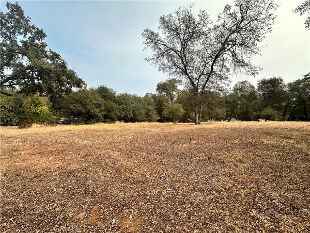 Land for sale in Butte, California