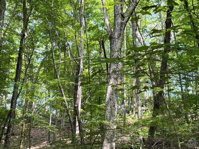 Land for sale in Pine Plains, New York