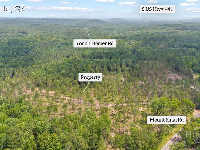 Land for sale in Banks, Georgia
