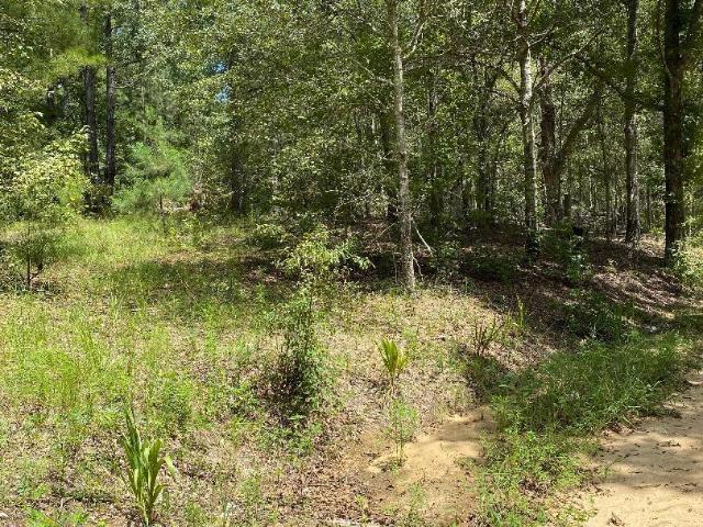 Land for sale in Georgia