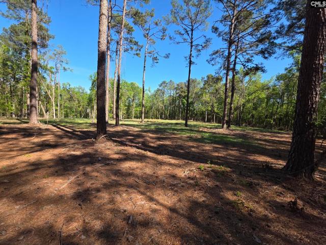 Land for sale in Newberry, Newberry County