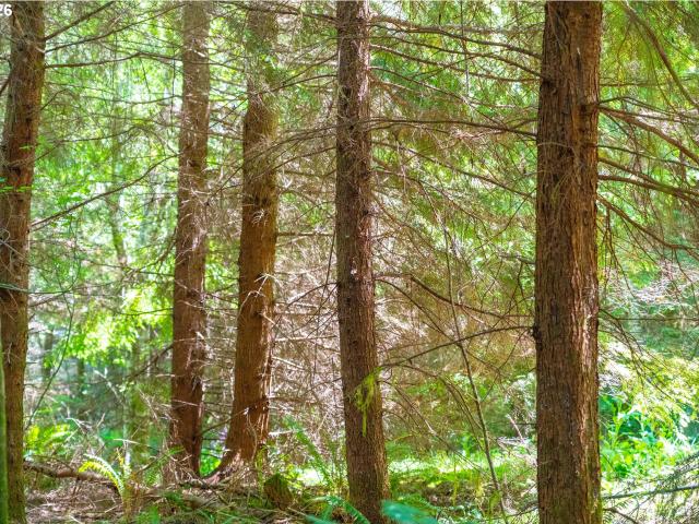 Land for sale in Oregonia