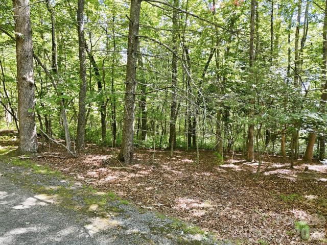 Land for sale in Brevard, North Carolina