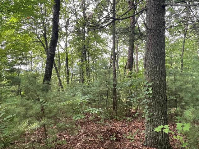 Land for sale in North Carolina