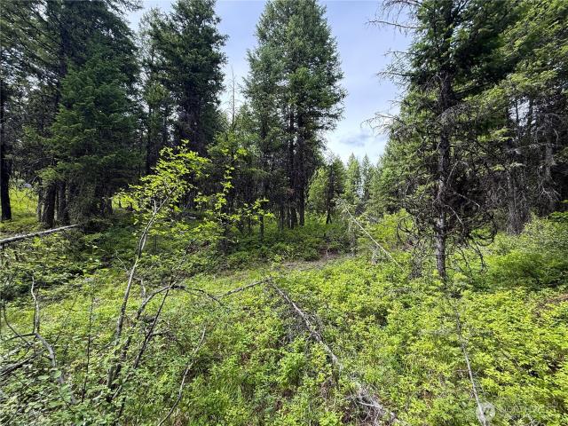 Land for sale in Republic, Washington