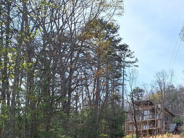 Land for sale in Morganton, Georgia
